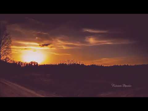 377 - AS PROMESSAS QUE NÃO FALHAM