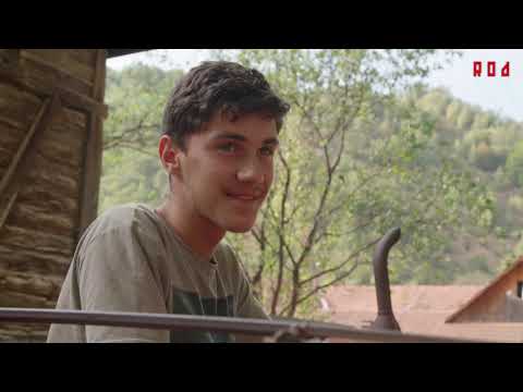 On The Rod - Farasesti