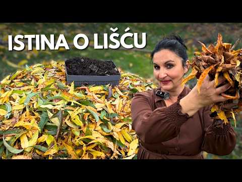 Using LEAVES in the Garden the Right Way