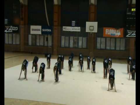 Tleskačka - exhibiční vystoupení TJ JM Chodov 2008