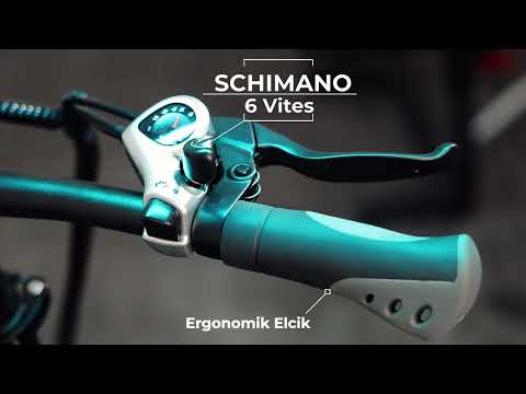 eFolding 6.5 Technical 🛠