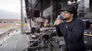 DRACO ROSA    OBRA DE ARTE  SOUNDCHECK
