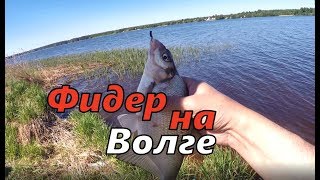 Рыбалка в тверской области на верхней волге