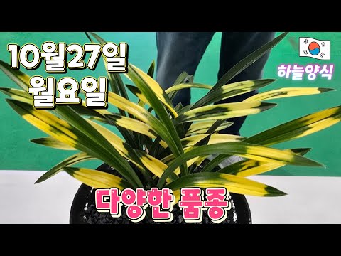 유튜브 썸네일