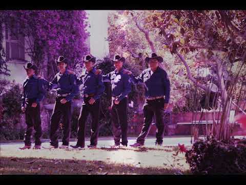 Los vilchis ( zapateado)