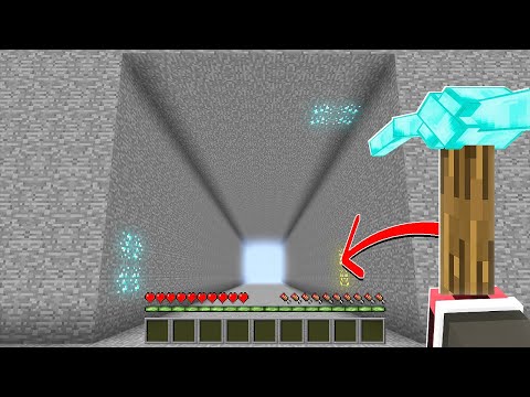 FERİTED VS MİNECRAFT #29