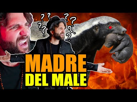 Mother's Resentment HONEY BADGER - UGLY SCIENCE