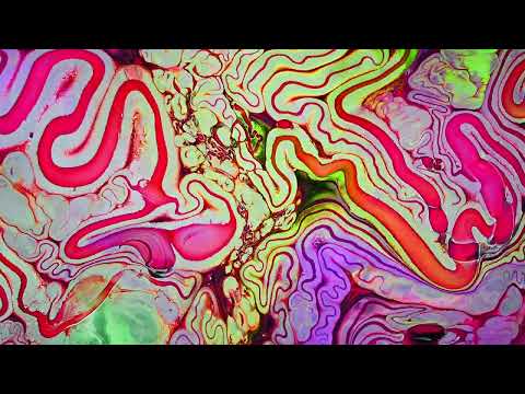 Meet The Star - Guided by Voices