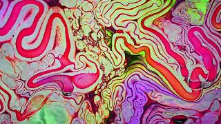 Guided By Voices - Meet The Star (Lyric Video)