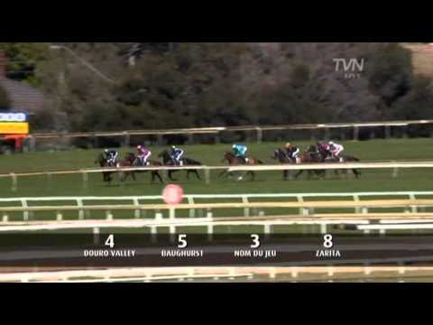 Whobegotyou - 2009 YALUMBA STAKES