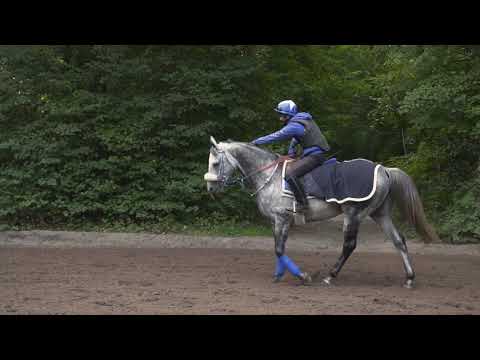 Julian Smart tells the story of Gazwan