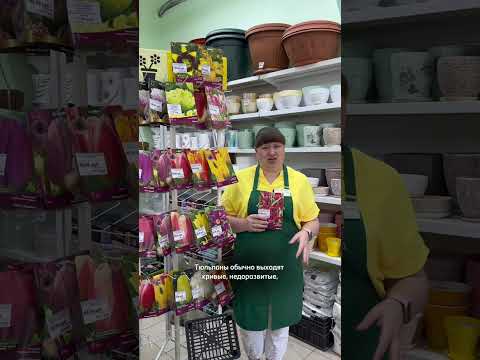 Удачный сад: видео