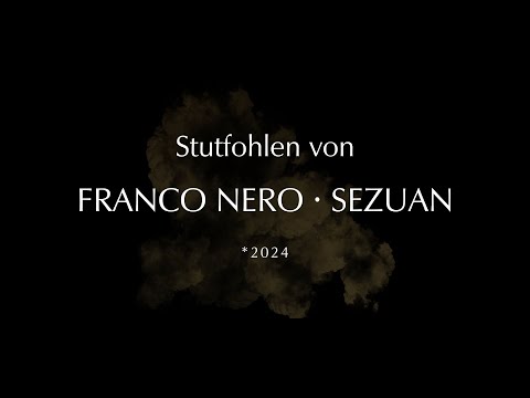 Stutfohlen von Franco Nero - Sezuan | *2024