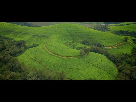 Sat-B - Dawa (Official Music Video)