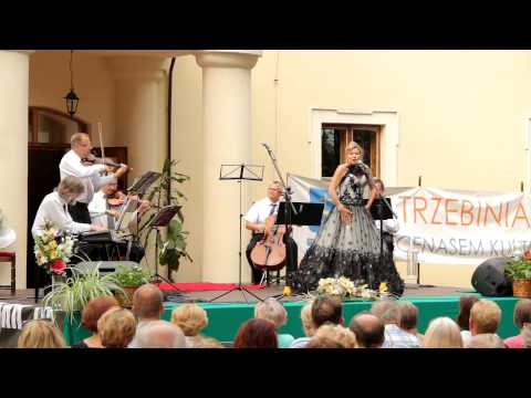 IX Letni Koncert Plenerowy - Klub Filmowy OFF