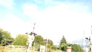 Copeland Creek Trail Railroad Crossings Quick Look