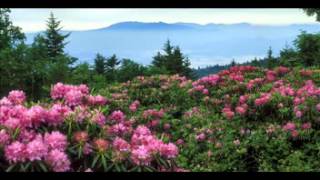 Pedro Cortes sings In The Chapel In The Moonlight