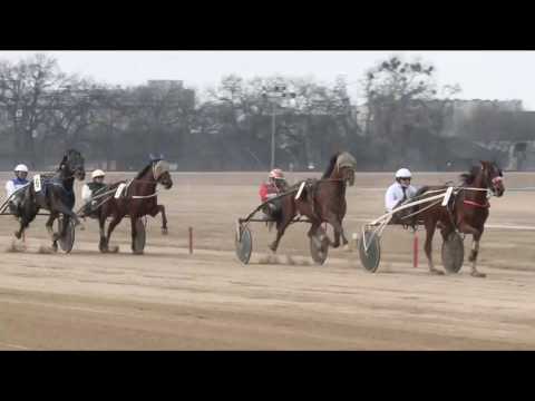 2017.02.11. 2. futam - BONVIVÁN HENDIKEP