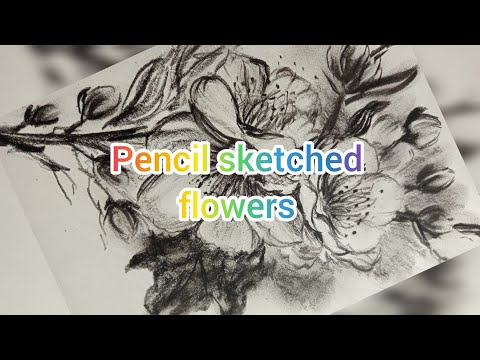 Easy flower drawing by pencil | Pencil sketched flowers