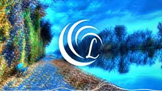 Alex Lustig - Free Form