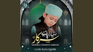Download lagu Sahara Chahiye Sarkar mp3