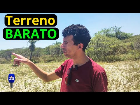 TERRENO A VENDA EM PARANATAMA-PE