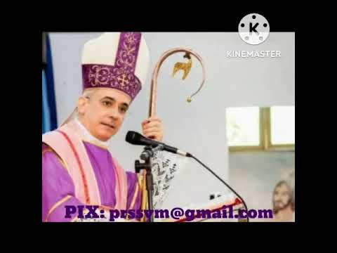 3rd Sunday of Advent, A - Bishop Henrique Soares