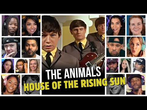 The Animals - House Of The Rising Sun - Reaction Compilation