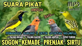 Download lagu Suara Pikat Sogon, Kemade, Prenjak, Sirtu Paling Ampuh | Mp3 Pikat Kesukaan Burcil mp3 Download lagu Suara Pikat Sogon, Kemade, Prenjak, Sirtu Paling Ampuh | Mp3 Pikat Kesukaan Burcil mp3