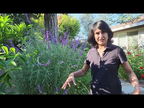 What to do in the Garden in October