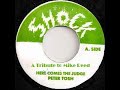 Peter Tosh, Here Comes The Judge - tribute to Mike Reed