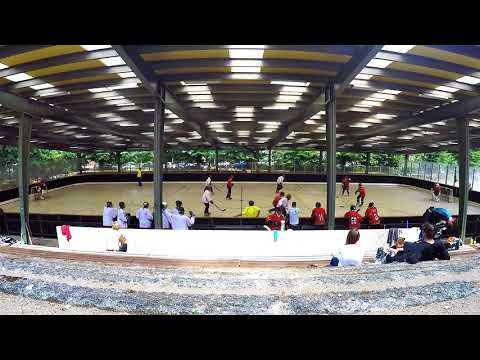 2018-07-08 Spreewölfe Berlin III - Pleiszegeier Leipzig 1:1