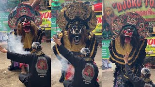 Download lagu Tari Rampak Barongan Lawasan Jaranan Djoko Tole Live Wisata Sumber Sugihwaras Dukuh Ngadiluwih mp3