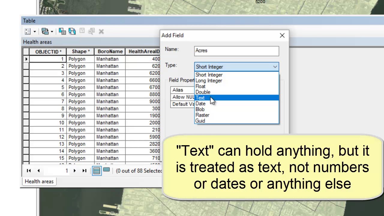 Field Types in ArcMap