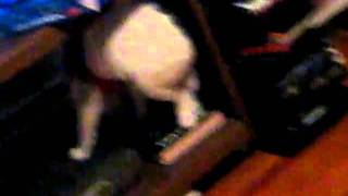 Santa Bones 03 ...... FAIL!