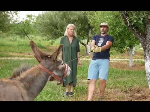 Bucurii la tara and Dedeman