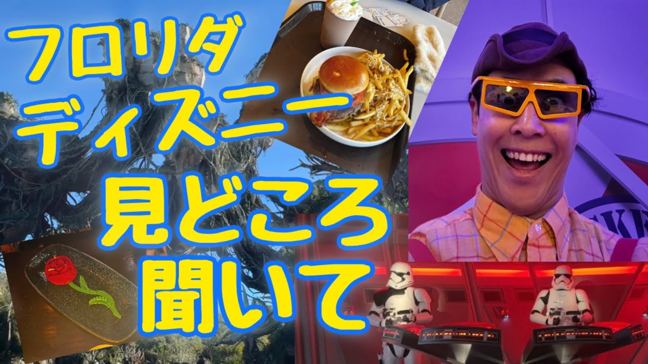 スターウォーズがすごいぞ！【WDW】