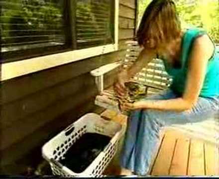 download lagu mp3 mp4 Tall Alana Renaud, download lagu Tall Alana Renaud gratis, unduh video klip Tall Alana Renaud