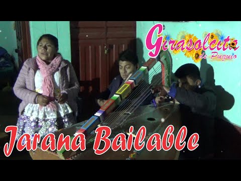 Mix  jaranas bailables (Huayno) con 👌 arpa y violín // canta "Girasolcita de puquio" 🎻
