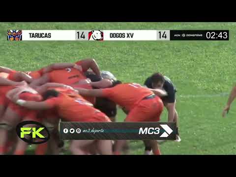 Tarucas Dogos XV Pre-season Friendly