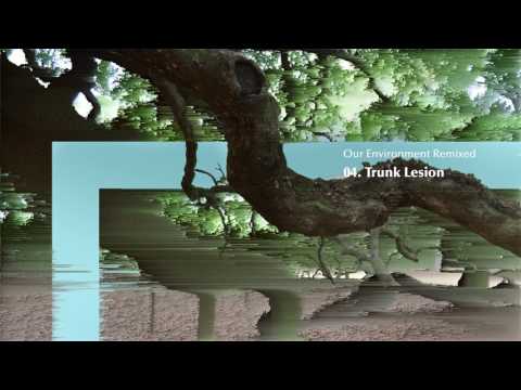 Iszlai - 04 - Trunk Lesion