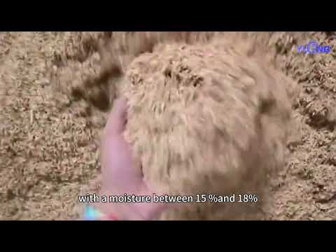 6-8T/H Rice Husk Pellet Line in Myanmar | YULONG XGJ560 Pellei Mill | Biomass Pellet Line