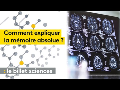 Absolute Memory: The Secrets of Those Who Remember Everything