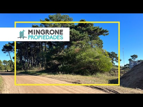 Cod 1033 – Lote Nayades (4)ideo