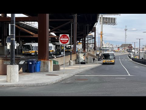 MBTA | Onboard MBTA 91 Local Bus {Sullivan Square - Central Square}