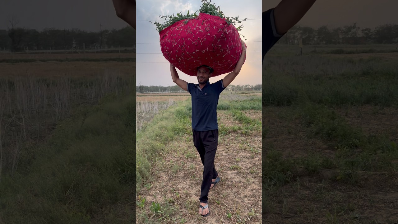 Aaj chuho ne ye kya kr diya #minivlog #dailyshorts #dailyvlog #dailylife #shorts #family #village