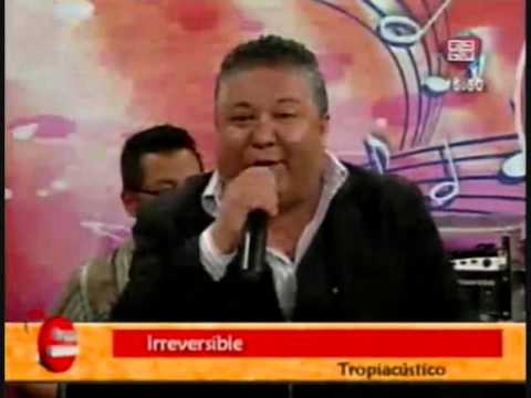 Irreversible / Pandinita