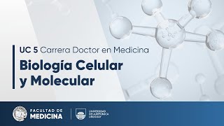 UC 5. Biología Celular y Molecular (Clase 27/10/25)