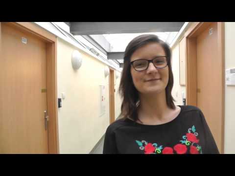 Studiuj politologię na Uniwersytecie Wrocławskim!