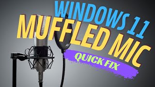 Windows 11 Muffled mic fix